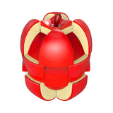 Rubik's Cube Fruit Apple Fanxin