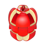 Rubik's Cube Fruit Apple Fanxin