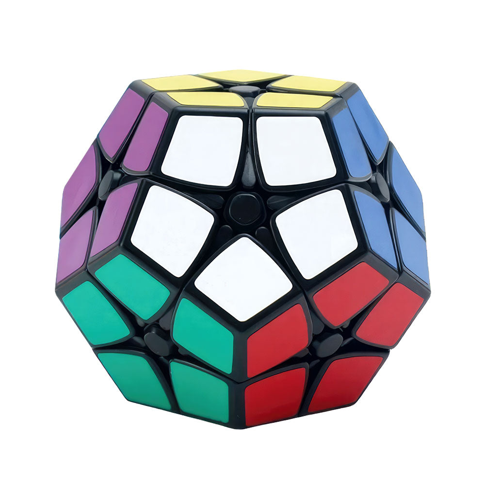 Rubik’s Cube 2x2 ShengShou Megaminx & Cube Store